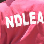 NDLEA Arrests Wanted Drug Trafficking Kingpin After 13 Years Hunting
