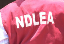 NDLEA to destroy 1.8 tons of cocaine seized in Lagos