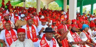 2023 presidency: We’ll announce our stand during Igbo Day – Ohanaeze