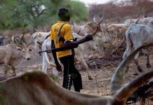 Benue: Herdsmen Rampage Claims Over 500 Lives in Agatu, Otukpo, and Apa