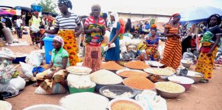 How Tinubu can tackle food insecurity in Nigeria — Ex-senator