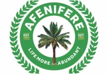 Peter Obi vs Tinubu: Resolve petitions before May 29 — Afenifere urges tribunal