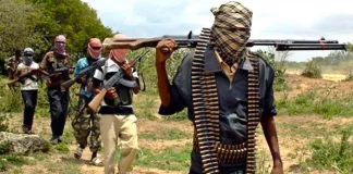 Following killings of Fulanis, terrorists order Zamfara communities to stop using popular market
