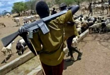 Herdsmen attack Nimbo community in Enugu, killing several and injuring others