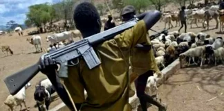 Herdsmen attack Nimbo community in Enugu, killing several and injuring others