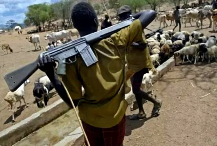 Herdsmen attack Nimbo community in Enugu, killing several and injuring others