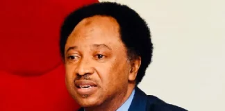 ASUU Strike: Shehu Sani Reacts As Female Students Threaten To Protest Nude