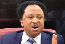 Shehu Sani speaks on stopping Tinubu’s inauguration on May 29