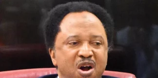 Shehu Sani speaks on stopping Tinubu’s inauguration on May 29