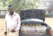 Police arrest notorious drug dealer in Kano