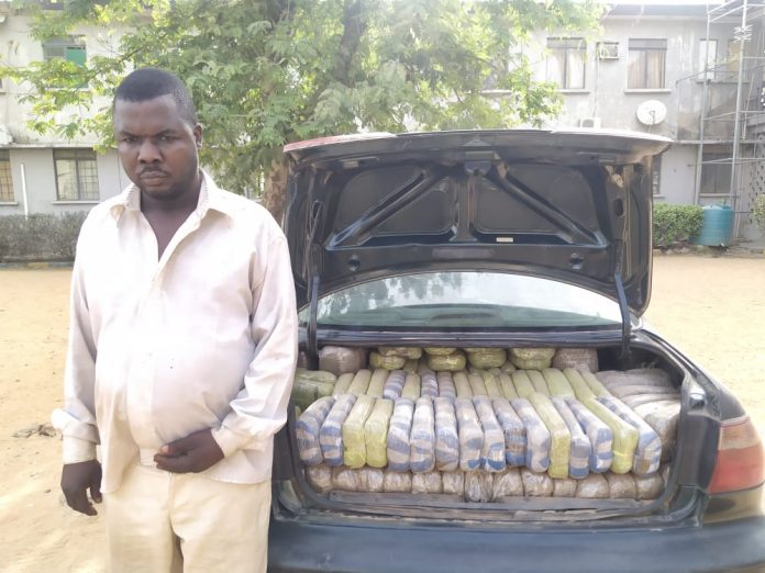 Police arrest notorious drug dealer in Kano