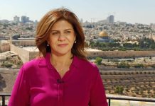 Shireen Abu Akleh, Al Jazeera Journalist Shot Dead By Israeli Forces