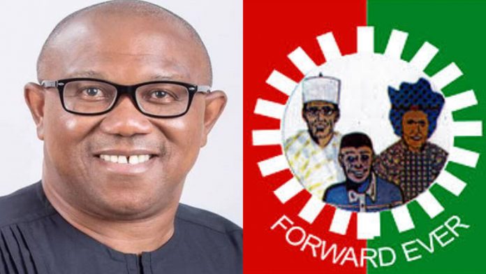 2023: Peter Obi’s presidency threatened as Labour Party faction picks Ezenwafor as Presidential Candidate