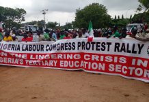 ASUU: Labour unions kick-off fresh mega rally in Abuja over varsities strike