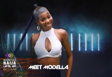 BBNaija: I didn’t know I would be fake housemate – Modella