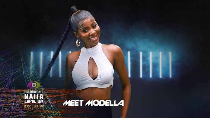 BBNaija: I didn’t know I would be fake housemate – Modella