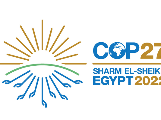 COP 27: Climate change and road transportation are the main topics of discussion as African journalists and others gather in Egypt