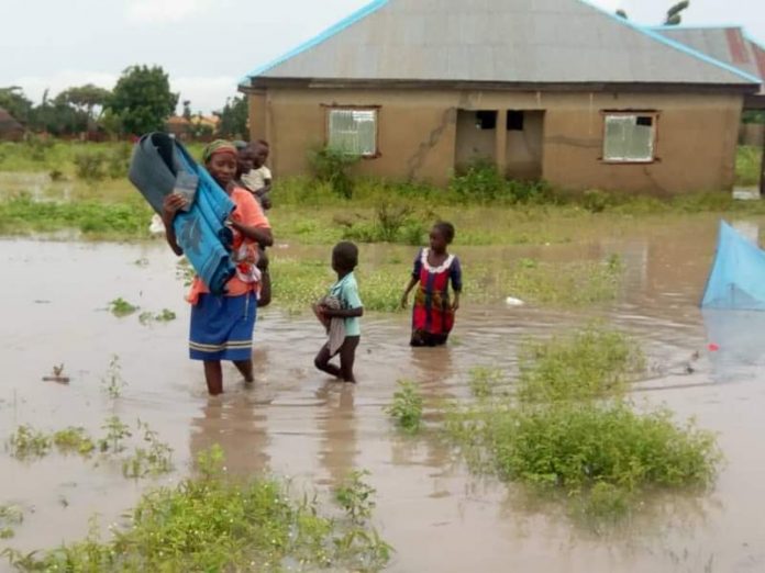 In Adamawa, flood destroys 89,000 acres of farmland and claims 37 lives.