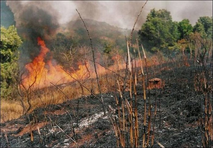 EEDC condemns pointless bush burning during the harmattan season