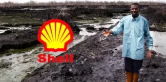 Nigerian govt rakes in $2.45bn taxes from Shell Nigeria in two years