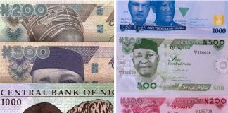 CBN Issues Fresh Directive on Old and New Naira Notes