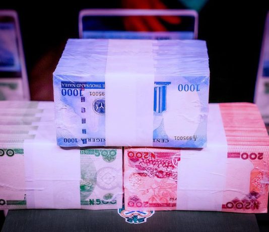 Naira now world’s worst performing currency — Bloomberg