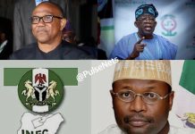 Tribunal: Tinubu, INEC Kick As Peter Obi Tenders Total Pvcs In 32 States