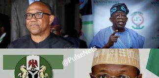 Tribunal: Tinubu, INEC Kick As Peter Obi Tenders Total Pvcs In 32 States