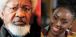 I strongly diagree with Prof Soyinka — Chimamanda Adichie