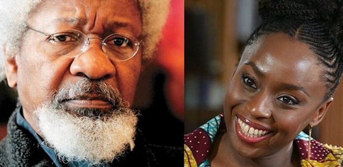 I strongly diagree with Prof Soyinka — Chimamanda Adichie