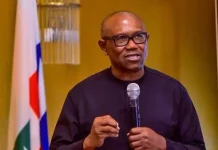 ‘Why constituency projects must be stopped’ — Peter Obi