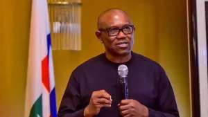 I must be President of Nigeria — Peter Obi insists