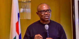 ‘Why constituency projects must be stopped’ — Peter Obi