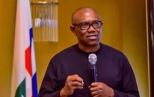 ‘Why constituency projects must be stopped’ — Peter Obi
