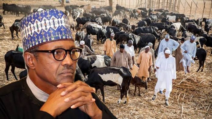 ‘My cattle, sheep easier to control than Nigerians’ — Buhari