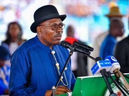 Governor Fubara Advocates Collaborative Solutions for Environmental and Economic Challenges in Ijaw Land