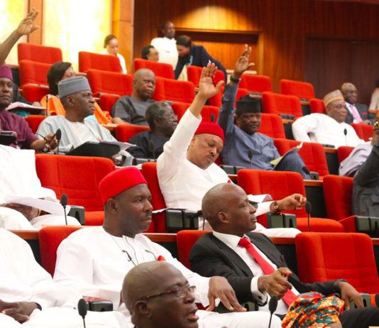 Senate confirms Tsammani, 10 others as Supreme Court Justices