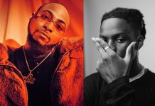 Rema, Davido make Spotify’s 2023 ‘Songs of Summer’ predictions