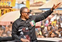 2023 elections plagued by fraud, irregularities — Peter Obi