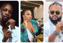 BBNaija: Laycon, Miracle, Whitemoney Didn’t Deserve To Win — Angel