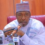 Palliatives: No government can provide food to every resident — Zulum