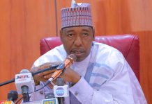 Palliatives: No government can provide food to every resident — Zulum