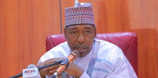 Palliatives: No government can provide food to every resident — Zulum