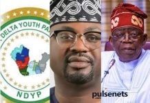 Niger Delta Youths hail Tinubu for Tunji-Ojo's nomination as minister designate