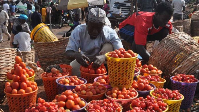 Federal govt moves to remove taxes on tomatoes, raw food items