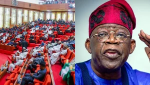 Senate Approves Tinubu’s 2025-2027 Fiscal Plan With N9 Trillion Borrowing Proposal