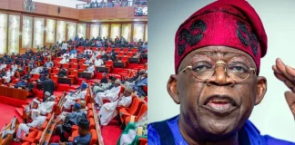 Senate Reject Tinubu's Request For Military Intervention In Niger