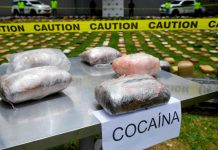 Cocaine To Overtake Crude Oil As Colombia’s Main Export After $18.2b Revenue