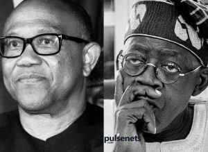 Tinubu Wasted ₦300bn on Presidential Jet That Could Build 4,000 Hospitals — Peter Obi