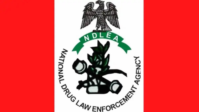 Drug war: NDLEA intensifies sensitisation at motor parks, strengthens collaboration